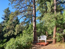 Side lectio bench